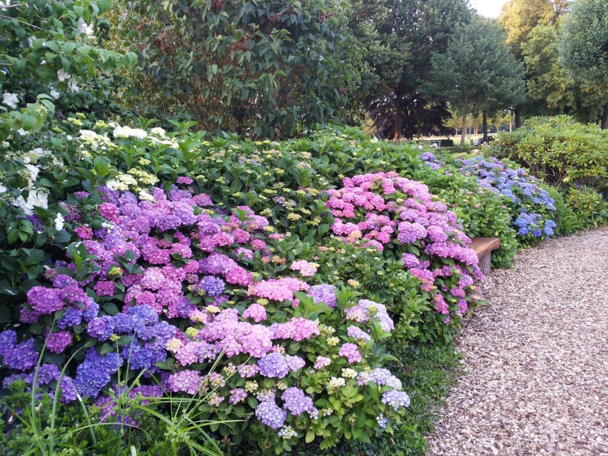 B&B Kleintje Eleveld ภายนอก รูปภาพ